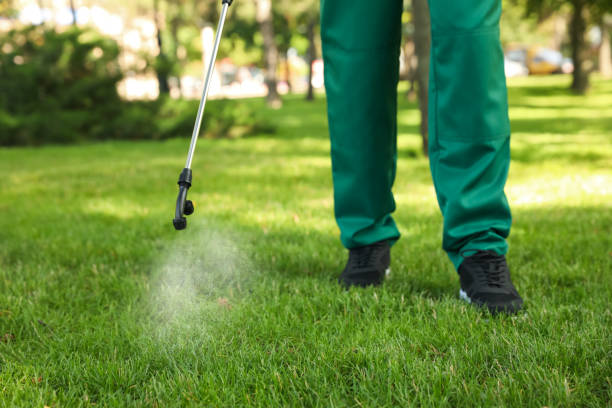 Best Local Pest Control Services  in Bluffton, OH