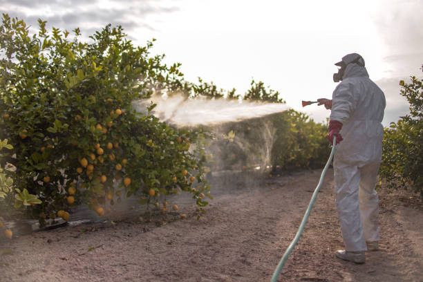 Pest Control for Restaurants in Bluffton, OH