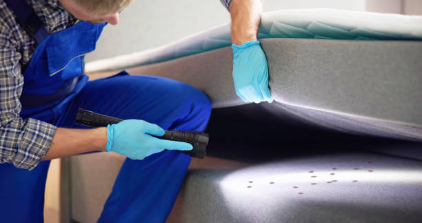 Best Cockroach Control Services  in Bluffton, OH