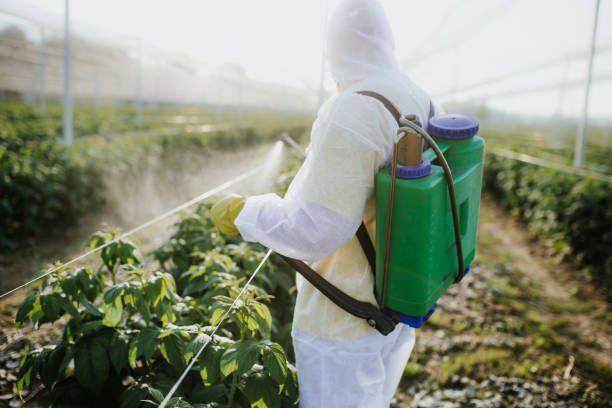 Best Affordable Pest Control Services  in Bluffton, OH